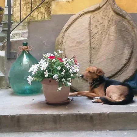 아파트 Azzurro By Interhome *